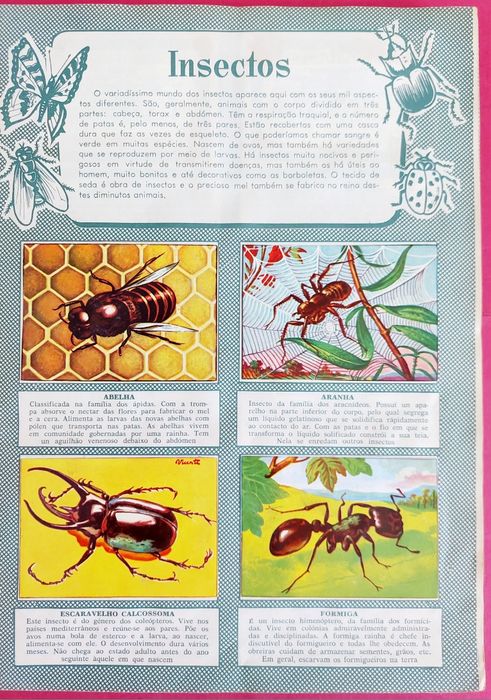Caderneta 1958 História Natural