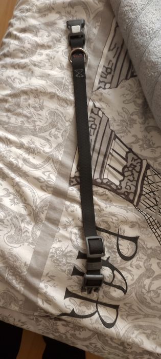 Ошейник и поводок водостойкий waudog