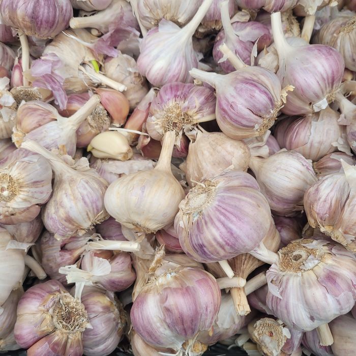 Czosnek 10zł/kg WYSYŁKA