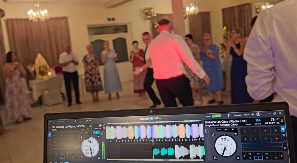 DJ z akordeonem.