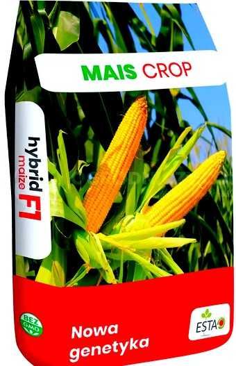 nasiona kukurydzy CAMARO c1 dkc mas kws smolice limagrain