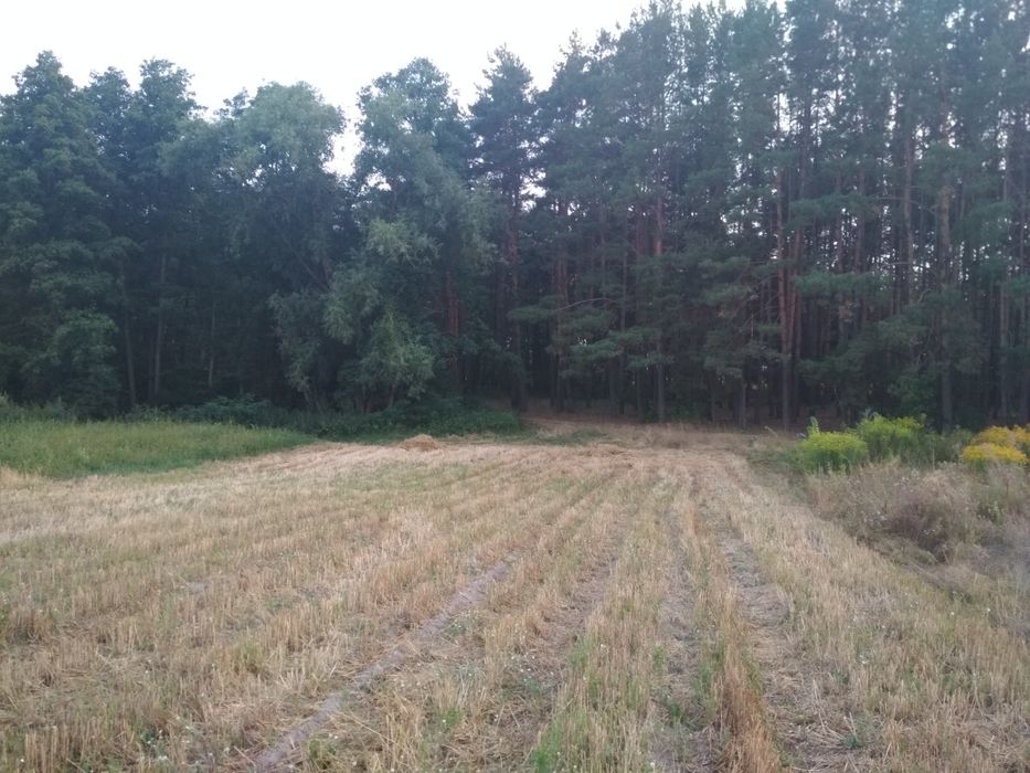 Продаж землі, нерухомість