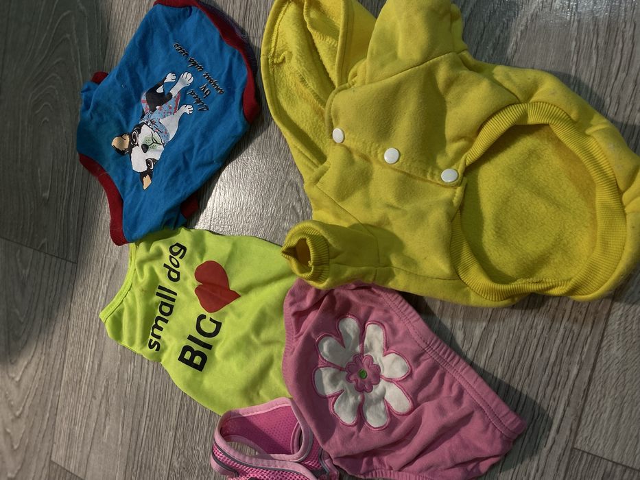 Собачий одяг різний