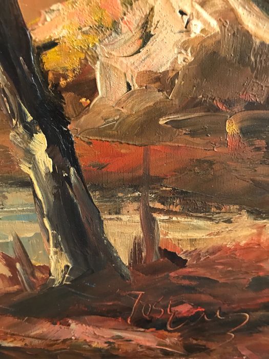 Óleo sobre tela 57 x 59 cm