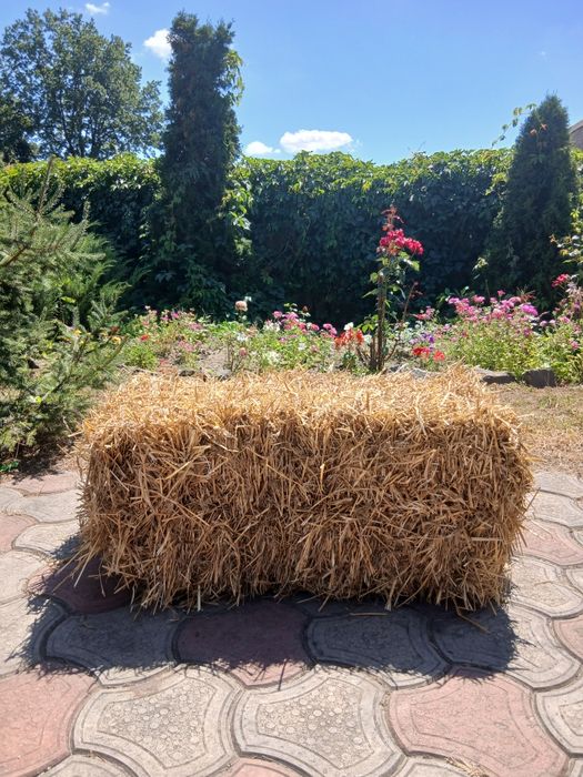 сено солома тюки