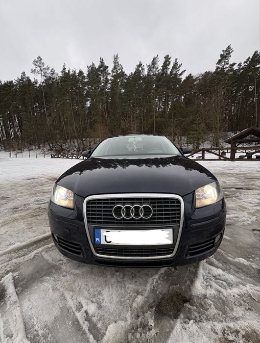 Audi a3 8p zewnetrzny s line