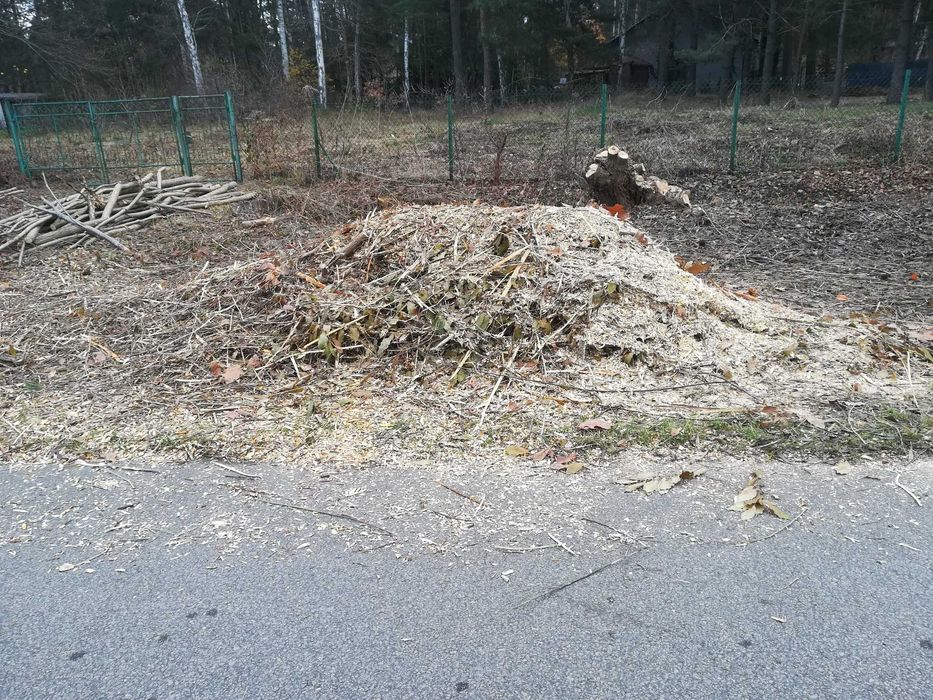 Oddam zrębki z różnych drzew lisciastych