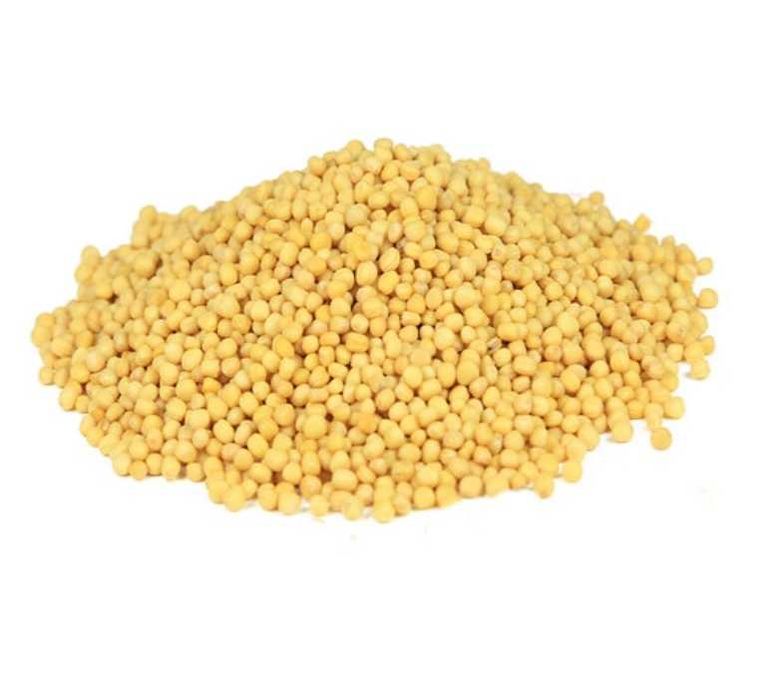 Sprzedam gorczycę żółtą 100kg, nie randapowaną, do spożycia lub siewu