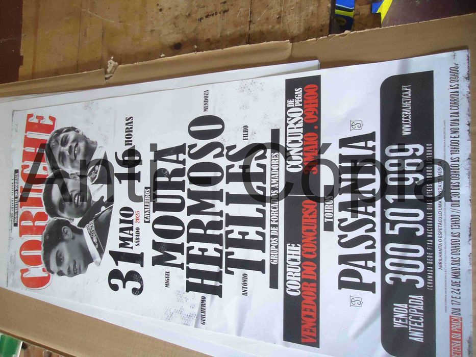 Toiros - Cartazes de Montra 5