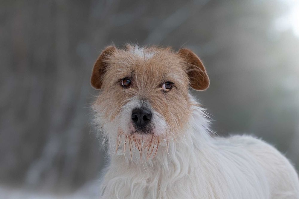 ARKA - czy ktoś w końcu mnie pokocha?