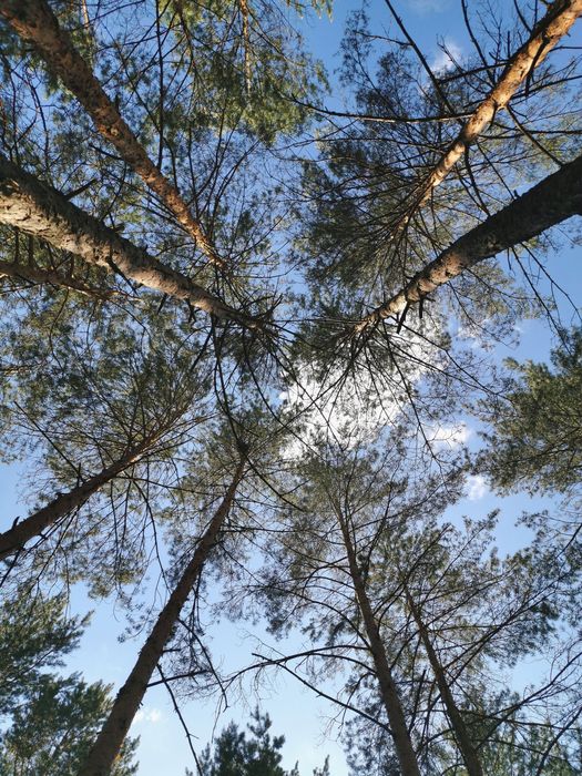 Nowy domek obok zalewu od 14.08 WOLNE