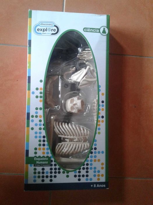 Esqueleto humano, como NOVO!