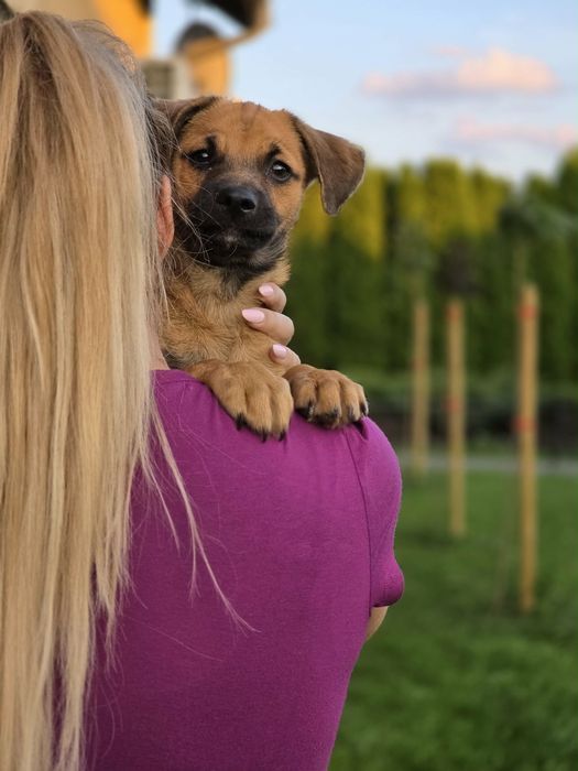 3,5 miesieczny Antoś prosi o dom