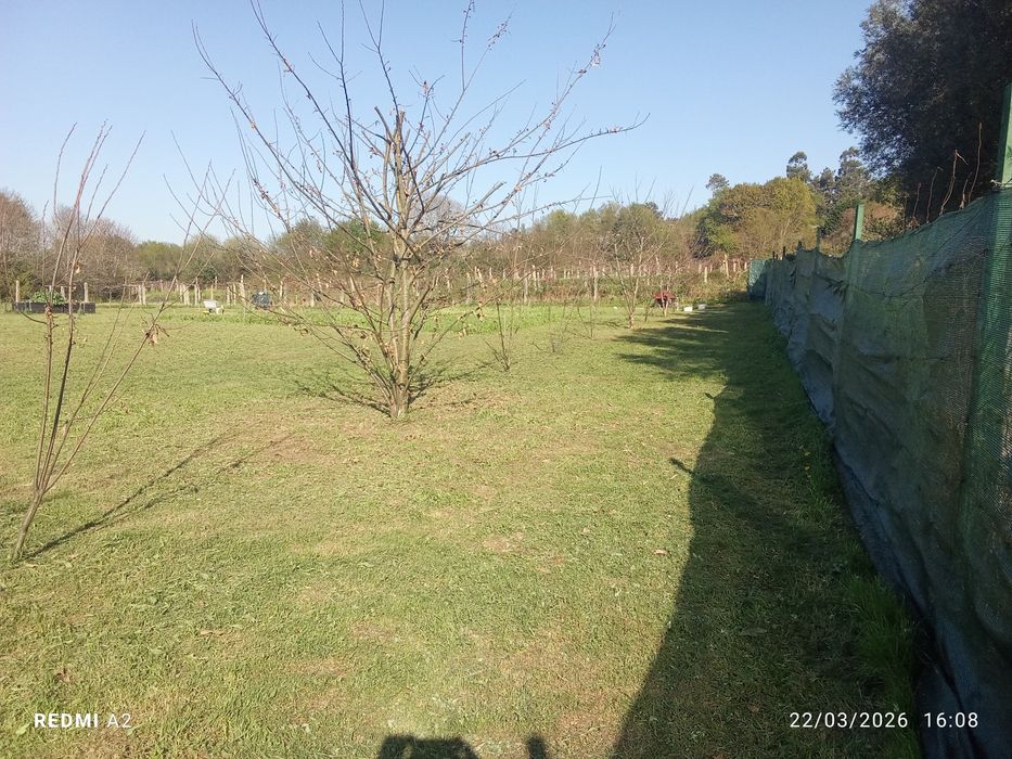 terreno pomar 3100 m2