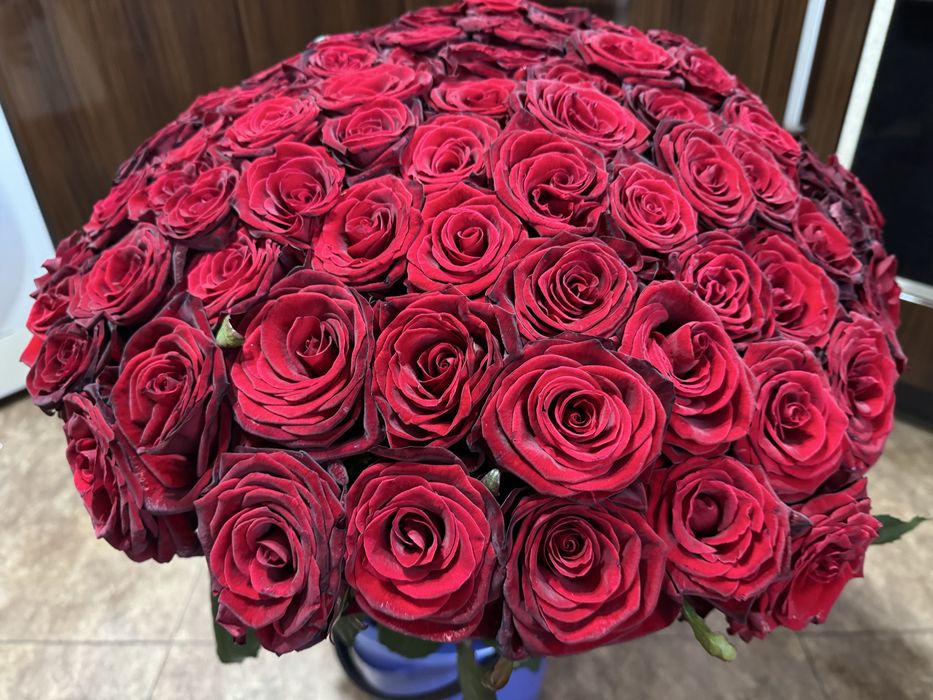 Терміново! Продам букет роз 101 шт , троянда