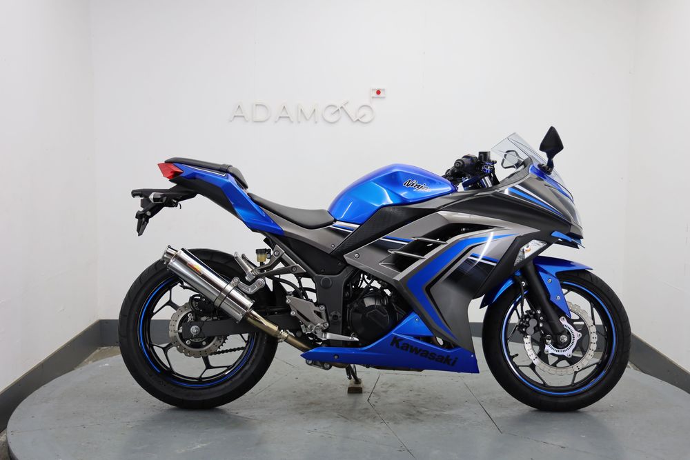 Kawasaki Ninja 250 ABS Special Edition