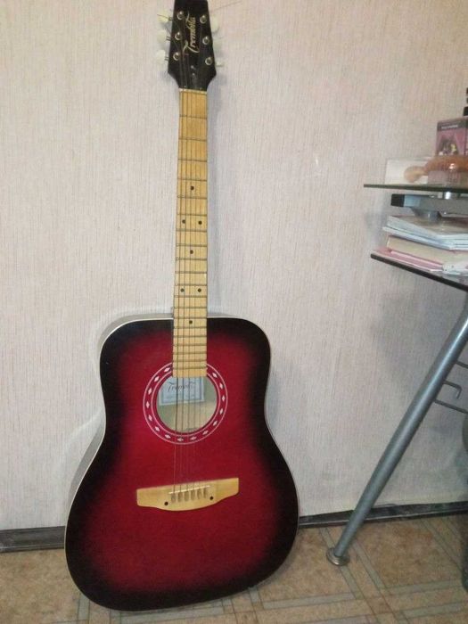гитара акустическая trembita 2008