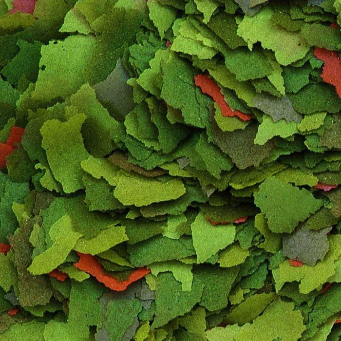 Tropical Malawi Pokarm 100 g -pokarm na wagę