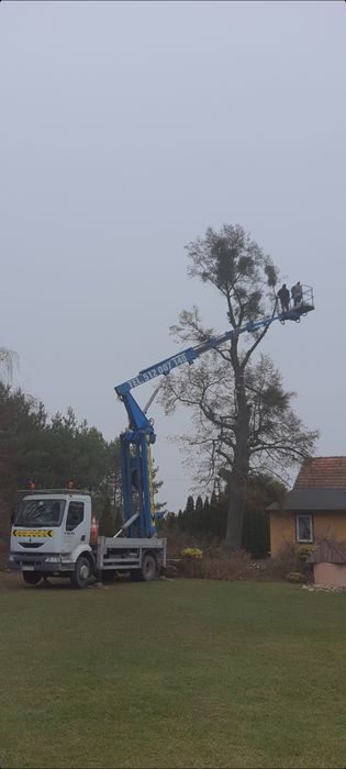 Podnośnik Koszowy Zwyżka, Minikoparka, Wycinka Drzew Przycinanie Koron