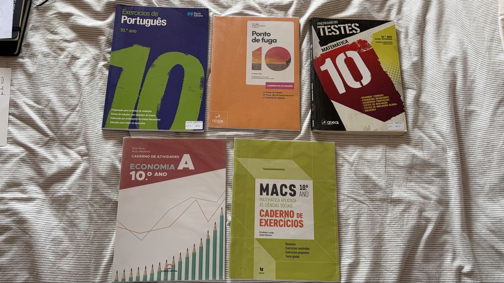 manuais e caderno atividades 10 ano