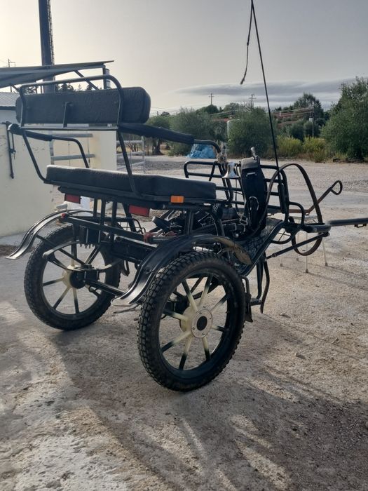 Charrete de 2 rodas para cavalos