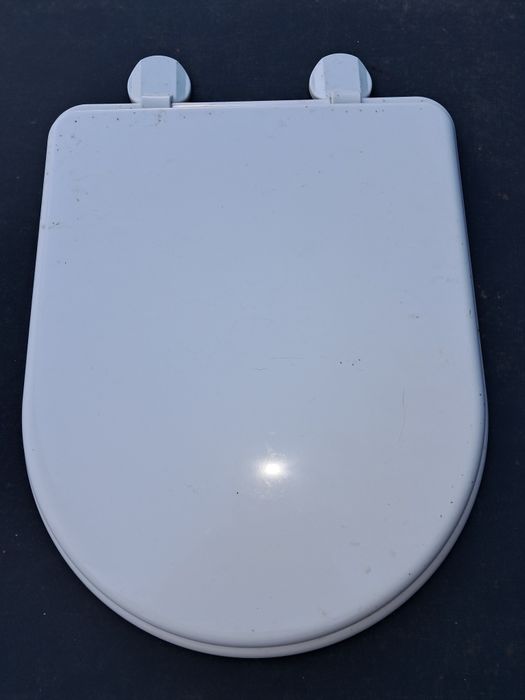 Tampo de sanita indusa