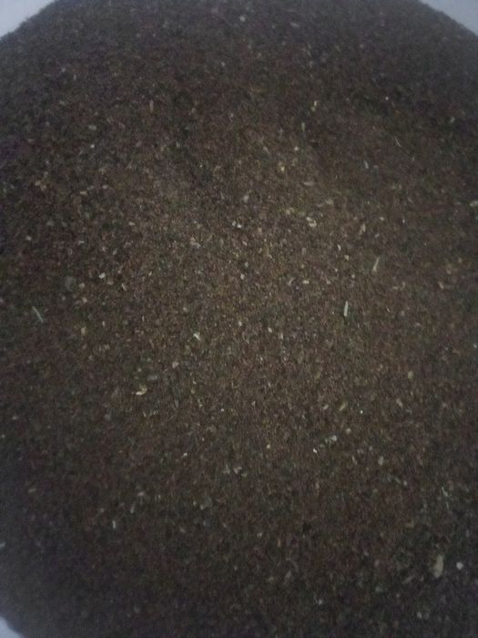 Продам насіння тютюну