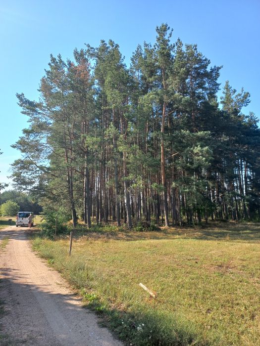Sprzedam działkę