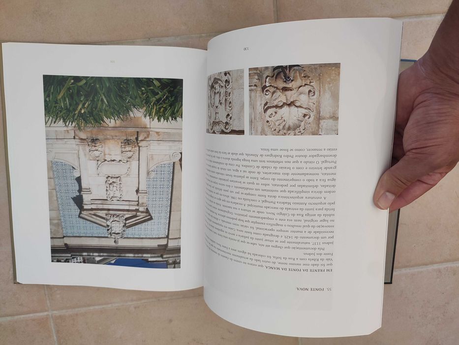 100 Obras de Arte de Coimbra - Pedro Dias