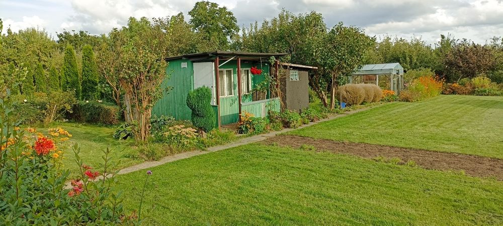 Działka  ROD  Kwitnących Jabłoni w Koszalinie  830m2