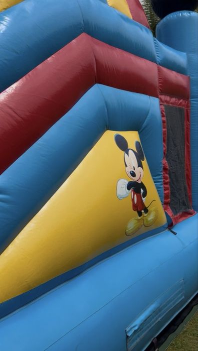 Insuflavel profissional Tema - Mickey