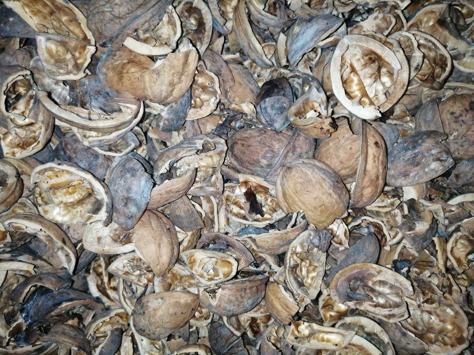 Перегородки/перепонки грецких орехов, скорлупа грецкого ореха