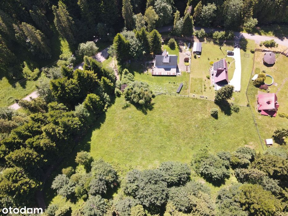 Na sprzedaż działka 3795 mkw, zanurzona w leśnej otulinie – Bystra. - Widok 5
