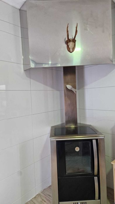 Salamandra a lenha inox que dá para cozinhar com placa e forno