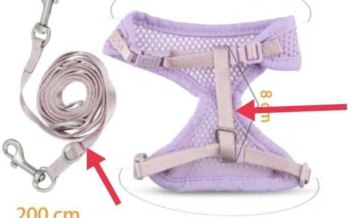 szelki dla malego psa