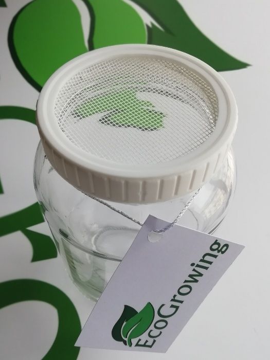 Pote vidro para germinados