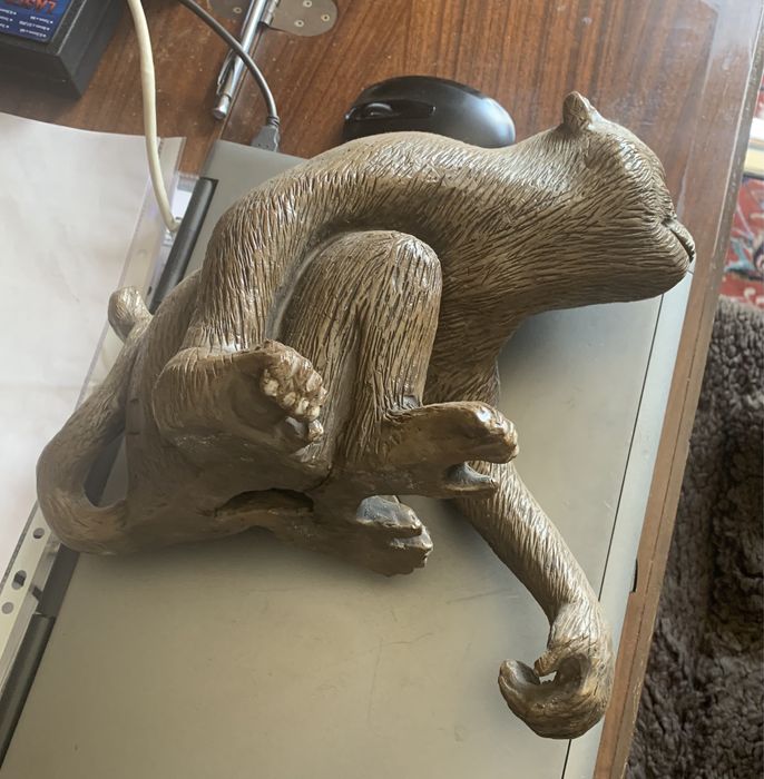 Macaco chinês marcado