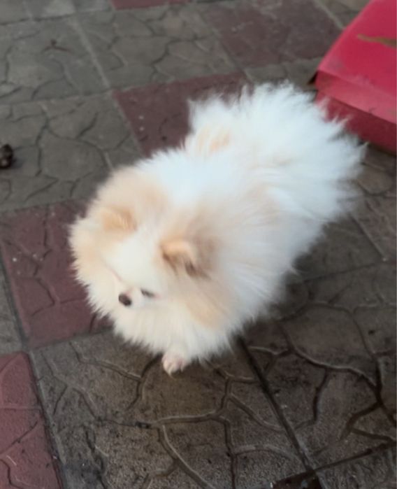 Голубоокий блондин. Вʼязка