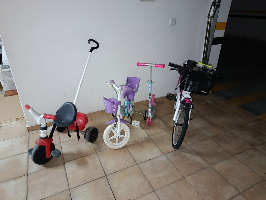 Desde o 1º até ao 11º ano de idade