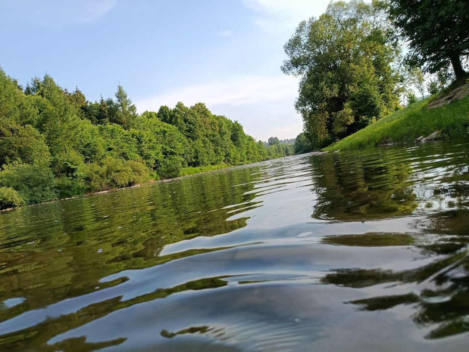 Domki i pokoje do wynajęcia Terka