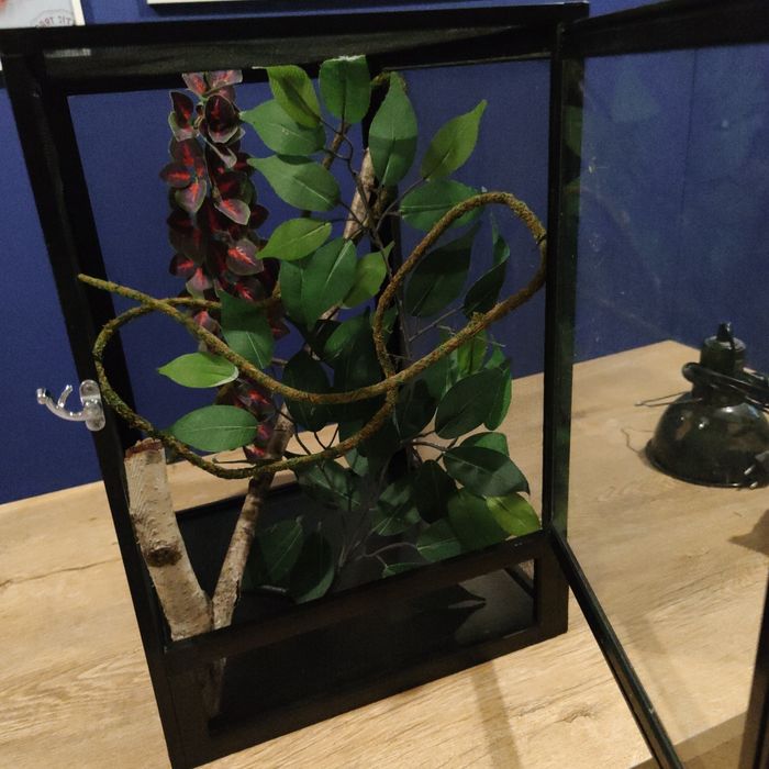 Terrarium flexarium ToxiRium  kameleona jaszczurki pająka 32x32x46 cm