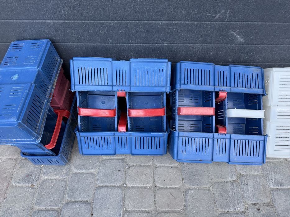 Łubianki plastikowe na truskawki maliny