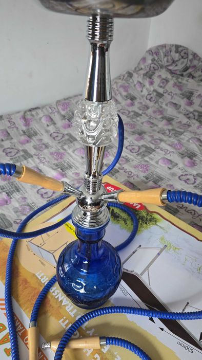 Szisza jak nowa Oasis