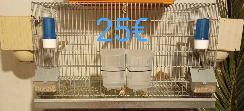 Vendo gaiolas para criação