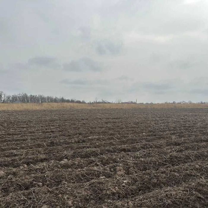 Лісові Гринівці земельна ділянка