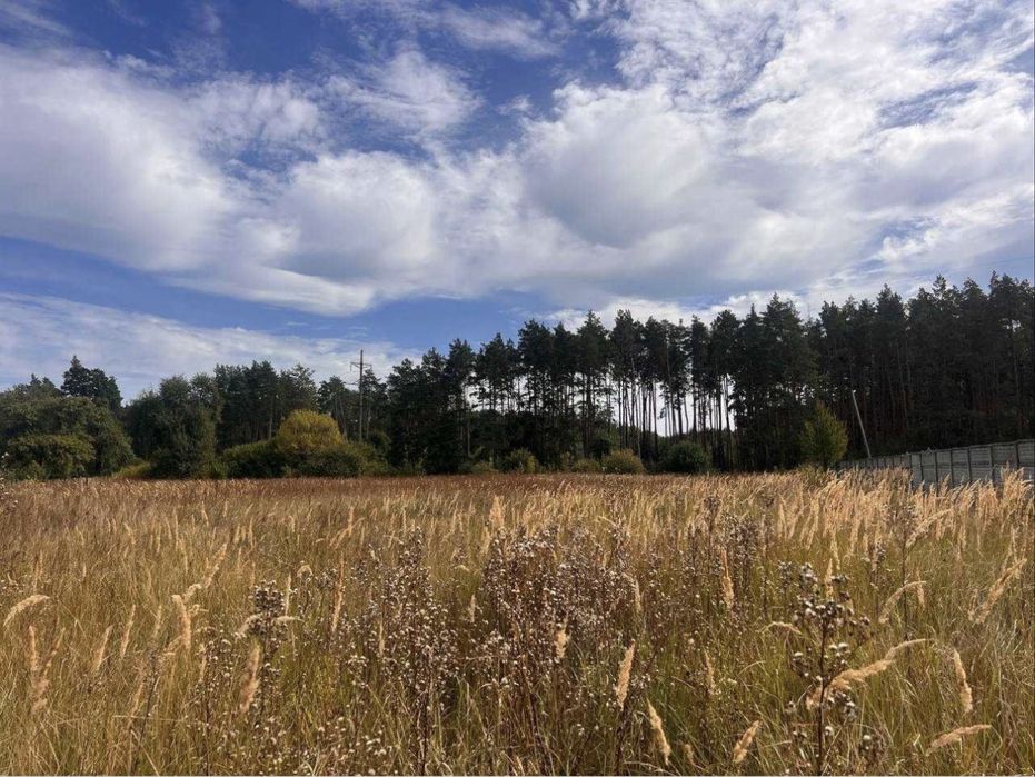 Бабинці. Ділянка під будівництво біля лісу. Без комісій!
