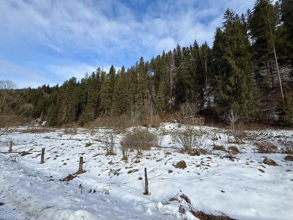 Продаж ділянки біля лісу та річки Головецько ( Тухля)