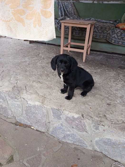 Дівчинка красуня три місяці