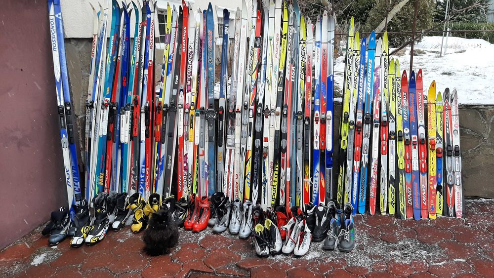 Гірські лижі, бігові, не дорого.