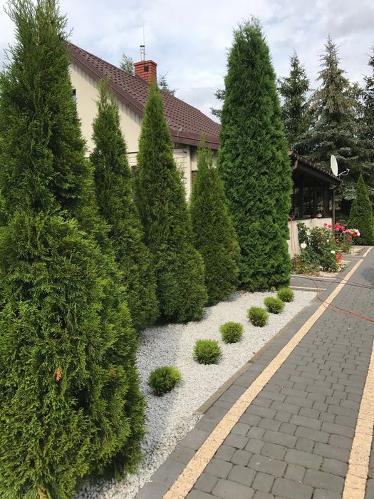 Sprzedam działkę